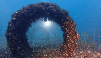 Ničí jedno alpské jazero za druhým. Nezastaviteľný invázny druh prenikol aj do slovenského úseku Dunaja