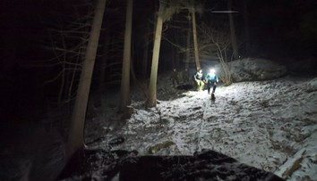 Útok medvedice na Liptove vyvolal vášne. Známy ekológ ukázal na problém, ktorý mohol stáť za celým nešťastím