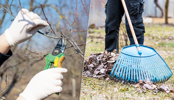 Záhradkári, pozor: Tieto chyby na jar ničia úrodu. Odborníci radia, čo urobiť už teraz (+ jarné desatoro)