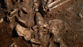 Moderné ženy majú jednu časť tela rovnakú ako neandertálci. U mužov sa evolúcia vydala iným smerom