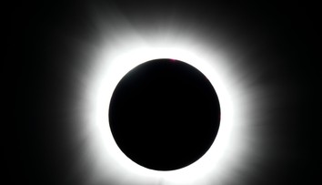 Zatmenie Slnka môže naznačiť zvieratám, že deň sa končí skôr. Ako pripraviť domácich miláčikov na zmenu svetla?