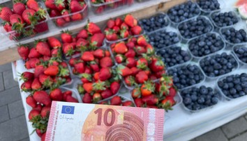 Dalibor dal škôlkarom jahody zadarmo. O chvíľu za ním prišla neznáma žena a dojala ho