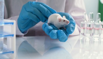 Vedci zásadne predĺžili život myší. Veria, že vďaka ich postupu sa ľudia dožijú neuveriteľného veku