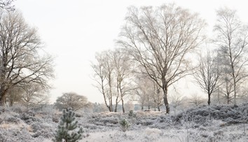 Vieme, aké bude počasie na Silvestra a Nový rok. Európu ovplyvní silná anticyklóna