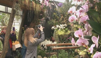 Botanická záhrada ponúka aj v zime tropické divadlo. Nahliadnite do pestrého sveta kvetov