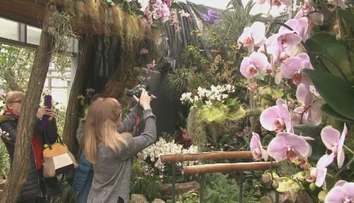 Botanická záhrada ponúka aj v zime tropické divadlo. Nahliadnite do pestrého sveta kvetov