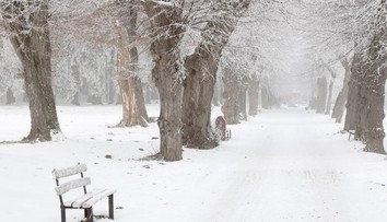 Polárny vír sa zrúti oveľa skôr, stane sa tak len štvrtýkrát za 70 rokov. Ovplyvní to Slovensko