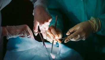 Práca v Mexiku sa zmenila na horor. Poliakom nelegálne odobrali orgány