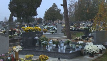 Boja sa, že im stromy spadnú na hroby. Výrub však úrad nepovolil