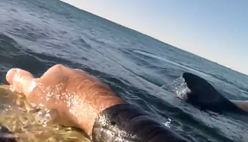 Muž zbadal plutvu a myslel si, že je s ním koniec. Potom sa schuti zasmial