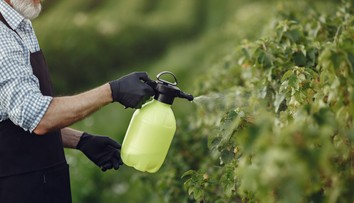 Tajomstvo zdravých ovocných stromov. Osvedčenými látkami sú močovina a meď