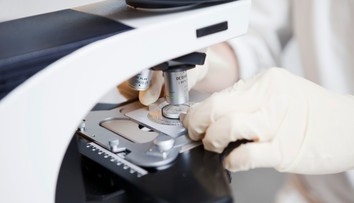 Holandské spermobanky porušovali pravidlá. Desiatky darcov sú otcami aspoň 25 detí, môže ísť o problém