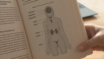 Zrazu prišla únava, výpadky aj frustrácia. Ženy opisujú zmenu, o ktorej sa nehovorí