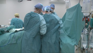 Medicínsky prelom. V Číne úspešne transplantovali prasaciu pečeň do tela človeka, žije s ňou už niekoľko dní