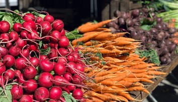 Vitamínová bomba z našich záhrad: Nenápadná zelenina pomáha srdcu aj tráveniu, dokonca je dobrá na chudnutie