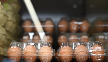 Jeden druh vajec už v mnohých obchodoch nenájdete. Zákazníkom sa nákup predraží