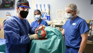 Veľký prielom v medicíne. Mužovi transplantovali srdce z prasaťa