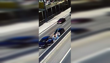 VIDEO: Lietali päste aj barly. Pri ZOO v Bratislave sa pobili dvaja vodiči, po chvíli sa pridali aj ženy