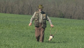 Jeleňa zastrelili brokovnicou, napriek tomu, že lovecká sezóna dávno skončila