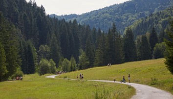 Studený front veľkú úľavu neprinesie. Horúčavy sa už čoskoro vrátia