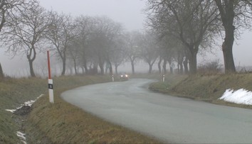 Orechovú alej musia vypíliť. Až takmer 300 stromov totiž prekáža rekonštrukcii cesty pri Bardejove