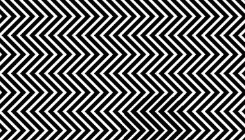 Hľadanie pandy je späť! Tentoraz sa nikde nezašila