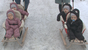 Štvorčatá oslávili rok a chytať ich musia po celom dome. Rodičia opísali, čo je pri výchove kľúčové