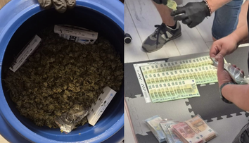 FOTO: Tajná „záhradka“ pri Lučenci. Polícia zaistila desiatky rastlín marihuany aj 13-tisíc eur