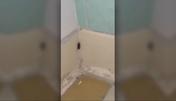 Pacient na urgente v Bratislave nakrútil šváby priamo v čakárni. Reakcia zdravotníka ho šokovala