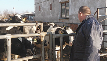 V tejto práci neexistuje ani deň voľna. Kým iní sviatkujú, oni stále pracujú