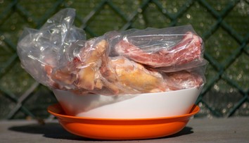Hygienici varujú pred chybou, ktorú robíme pri rozmrazovaní potravín. V lete môže byť nebezpečná