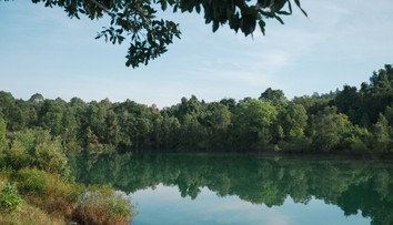 Vedci odhalili najnebezpečnejšie zviera sveta. Väčšina ľudí tipuje úplne zle