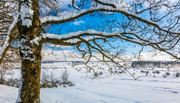 Meteorológovia varujú pred nezvyčajnou zimou. V hre je silný klimatický jav