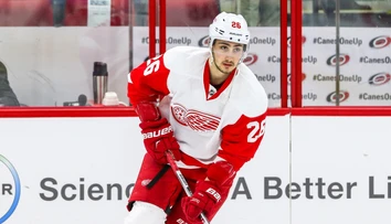 Mal byť generačný talent a ťahúň slávneho klubu NHL. Slováka po rokoch zaradili medzi najväčšie zlyhania