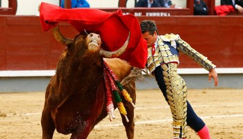 Tisíce ľudí žiadali v Madride ukončenie býčích zápasov