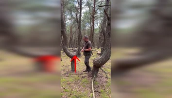 VIDEO: U našich susedov rastie les ako vystrihnutý z hororu. Spájajú ho s nacistami aj zlými silami