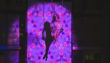 Levov nahradili akrobati a oheň. Nový cirkus mení predstavu ľudí o tejto zábave