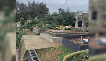 Po výrube stromov zostali na hroboch konáre. Vranovčania hovorili o vrchole neúcty