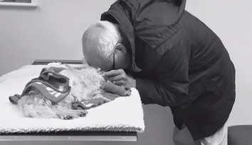 Snímka, ktorá trhá srdce. Muž sa musel rozlúčiť s jeho miláčikom