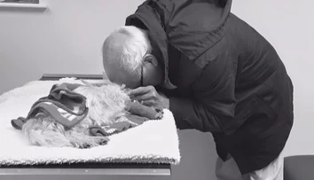 Snímka, ktorá trhá srdce. Muž sa musel rozlúčiť s jeho miláčikom