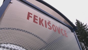 Ako vo voľbách hlasovali Fekišovce? V preslávenej obci sa hlasy neuveriteľne trieštili