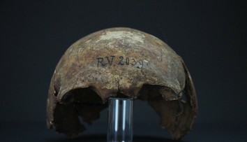 Nový objav vedcov prekvapil: Našli prvú známu obeť moru