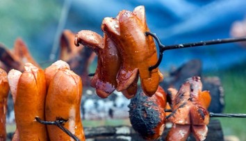 Kliešť mu spustil smrteľnú alergiu. Tínedžer zomrel po obyčajnej večeri