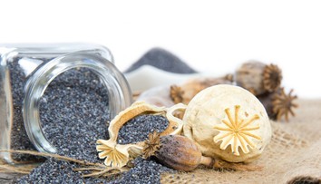 Polícia našla mak na výrobu ópia v hodnote 500 miliónov dolárov