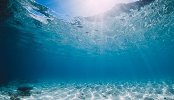 Oceány čelia trojitej hrozbe. Následky môžu ovplyvniť nielen podmorský svet