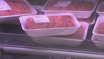 V horúčavách sa potraviny kazia oveľa rýchlejšie. Už po hodine hrozí kontaminácia