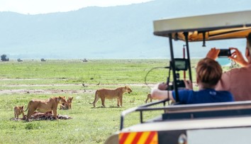 Prežil medzi šelmami: Malý chlapec strávil päť dní v africkom parku plnom levov