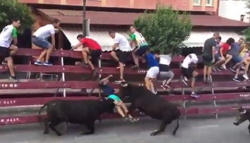 VIDEO: Zábery len pre silné povahy. Dvojica býkov doslova rozniesla muža