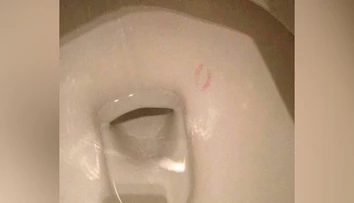 Kto pobozkal záchodovú misu? Internet si láme hlavu nad virálnou fotkou