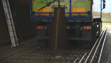 „Žlté zlo“ má zachrániť našu sebestačnosť. Repka olejná už nebude končiť v motoroch áut